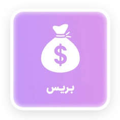 بریس